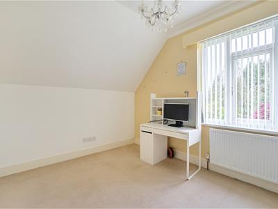 Picture 20